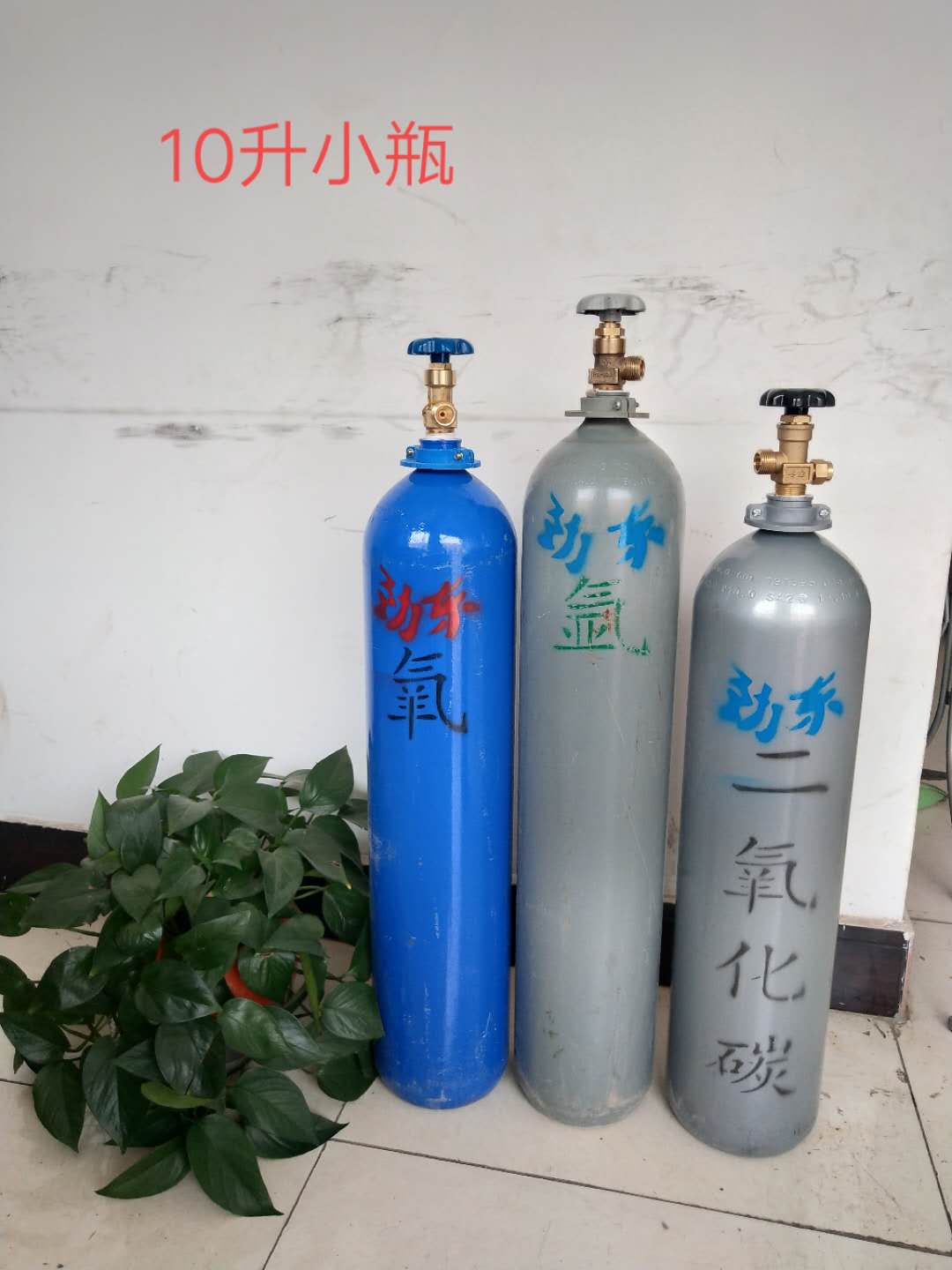 寧夏氧氣,寧夏氮氣,寧夏干冰,寧夏二氧化碳,寧夏氫氣，寧夏氦氣，寧夏氬氣，寧夏丙烷，寧夏乙炔，寧夏混合氣，寧夏高純空氣，寧夏液化石油氣，銀川氧氣,銀川氮氣,銀川干冰,銀川二氧化碳,銀川氫氣，銀川氦氣，銀川氬氣，銀川丙烷，銀川乙炔，銀川混合氣，銀川高純空氣，銀川液化石油氣